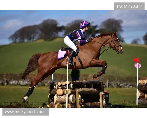 伊朗马术协会与国际组织合作，推广“Chovgan”至全球。，伊朗人跑马拉松吗